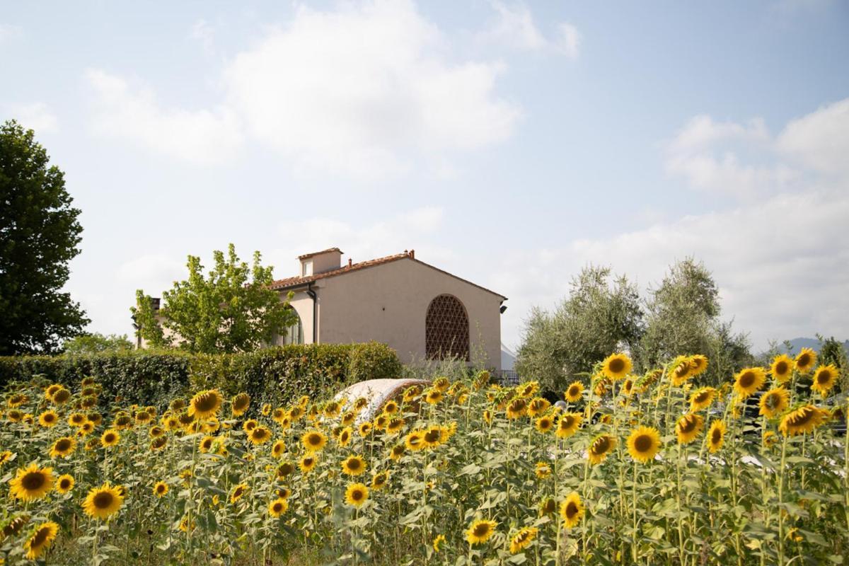 Pensjonat Locanda Sant'Agata San Giuliano Terme Zewnętrze zdjęcie