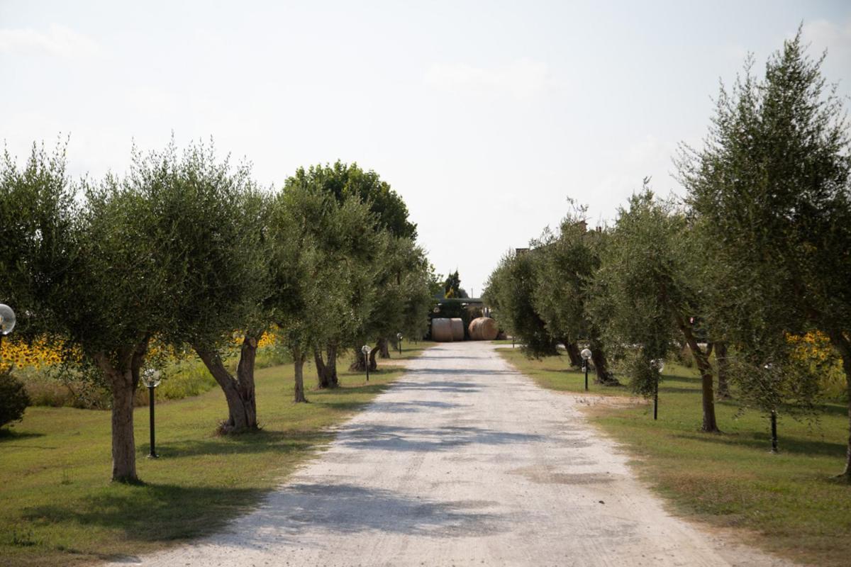 Pensjonat Locanda Sant'Agata San Giuliano Terme Zewnętrze zdjęcie